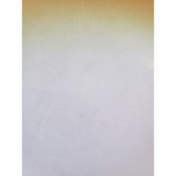 Jackson China Greentree Airbrushed Orange White Restaurant Ware Dinner Plate - Picture 9 of 9